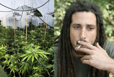 En känd bieffekt av cannabis är den så kallade "Hippie-effekten" där nyttjaren får långa dreadlocks och ser ut som en äcklig slodis.