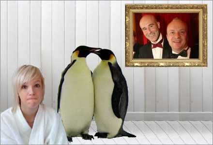 De homosexuella pingvinerna vårdar Johan Palm som han var deras egen son.