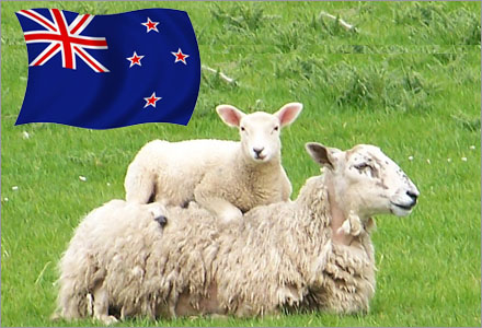 Barnaga har tagit över titlen från fårknullande som Nya Zeelands nationalsport.