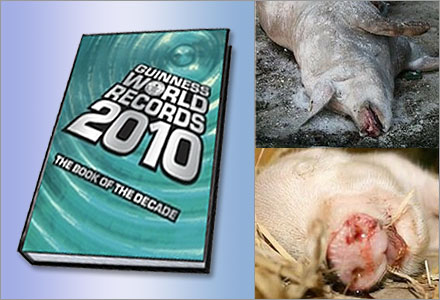 Rekordinspektionen kommer att införas i Guinness rekordbok.