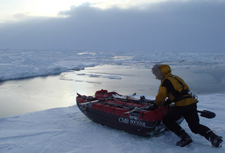 Bara riktiga praktfittor ger sig ut på poänglösa resor till Arktis.