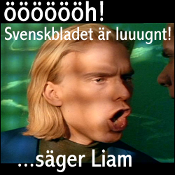 Svenskbladet �r lugnt ... s�ger Liam