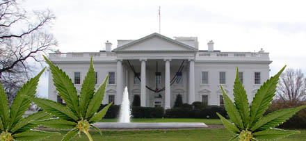 Powell lovar att Obama kommer sk?ta sig.