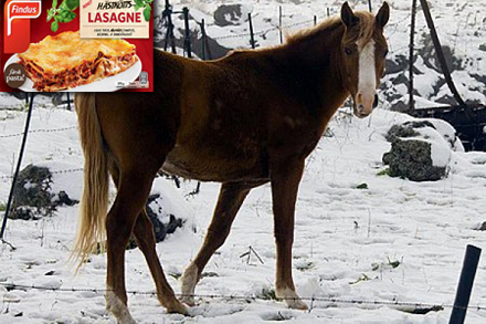 Lasagneätande häst blev lasagne. Alltså har inget hänt?