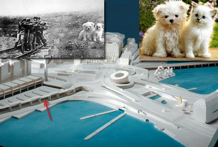 S? d?r s?ta hundvalpar och kattungar ska de avr?tta i Nya Slussen.