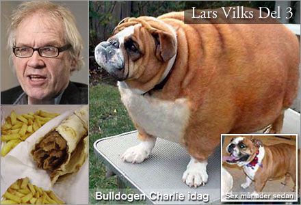 Den tvngsmatade bulldogen Charlie r Lars Vilks senaste konstverk.